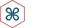 Détecteur de métaux BC6 - FDS Pro